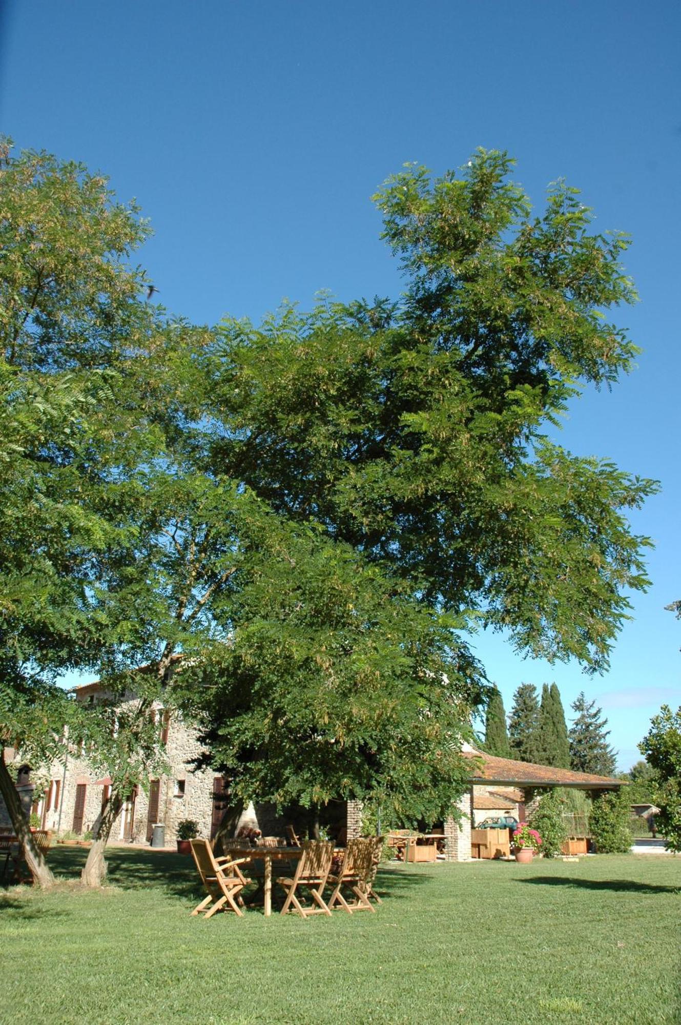 Agriturismo Le Piane Del Milia Suvereto Bagian luar foto